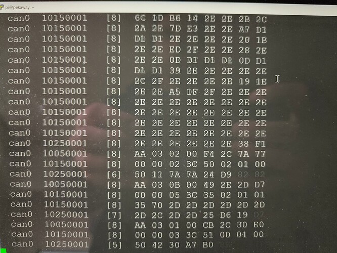 IMG_20251025_130103426